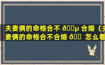 夫妻俩的命格合不 🐵 合婚（夫妻俩的命格合不合婚 🐠 怎么看）